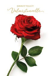 [245307] 2-os Valmistuminen setelitasku 