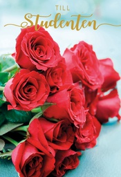 [24P4105] 2-os Ylioppilas R