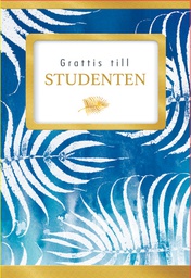 [24P4107] 2-os Ylioppilas R rahakuori