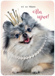 [27P00418] 1-os kortti Anna-Mari West