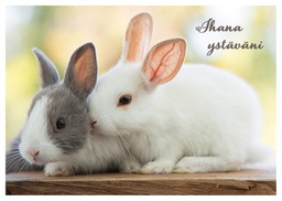 [2725527] 1-os kortti