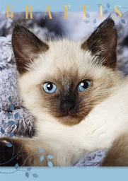 [4776097] 1-os eläinkortti R kissa