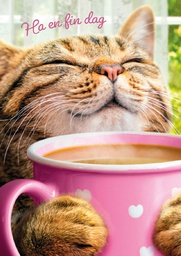 [3910164] 1-os hupikortti Avanti