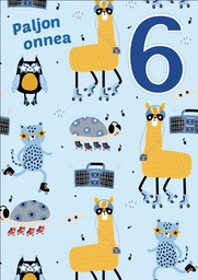 [47P20231] 1-os vuosikortti 6v poika