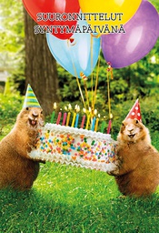 [2970591] 2-os hupikortti Avanti