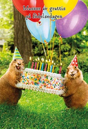 [2920093] 2-os hupikortti R Avanti