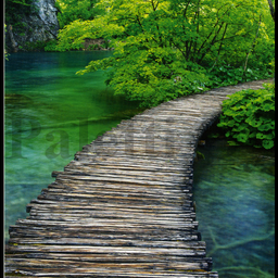 [31970] 1-os neliökortti Aquarupella