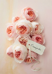 [27P00028] 1-os kortti ruusut-ruusut-ruusut