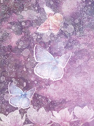 [318318] Juliste 60x80cm Perhoset