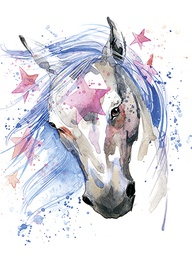 [318137] Juliste 30x40cm hevonen