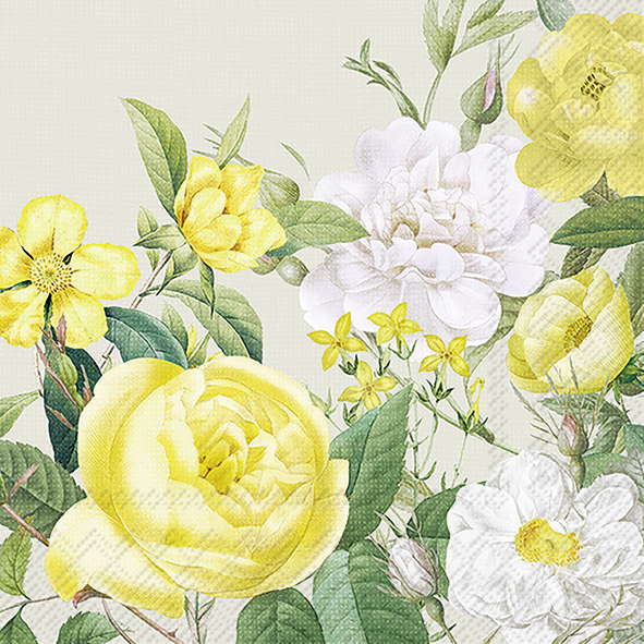 YELLOW ROSE GARDEN sage 25 cm