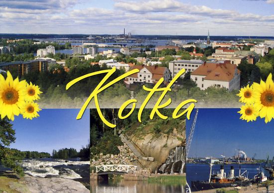 Kotka kesä