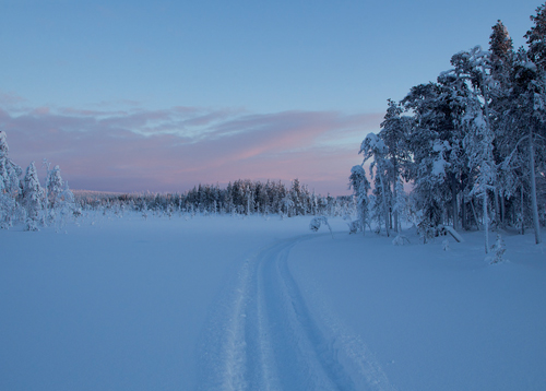 1-os kortti Lappi talvi