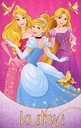 Kutsu Disney Prinsessa