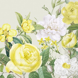 [C1039429] YELLOW ROSE GARDEN sage 25 cm