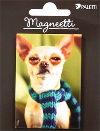 [55882] Magneetti Hallmark