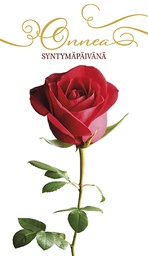 [1910146] 2-os syntymäpäivä