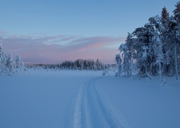 [90510] 1-os kortti Lappi talvi